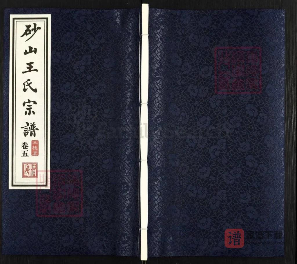 图片[1]-江苏江阴砂山王氏宗谱（三槐堂）PDF高清电子版下载-家谱下载