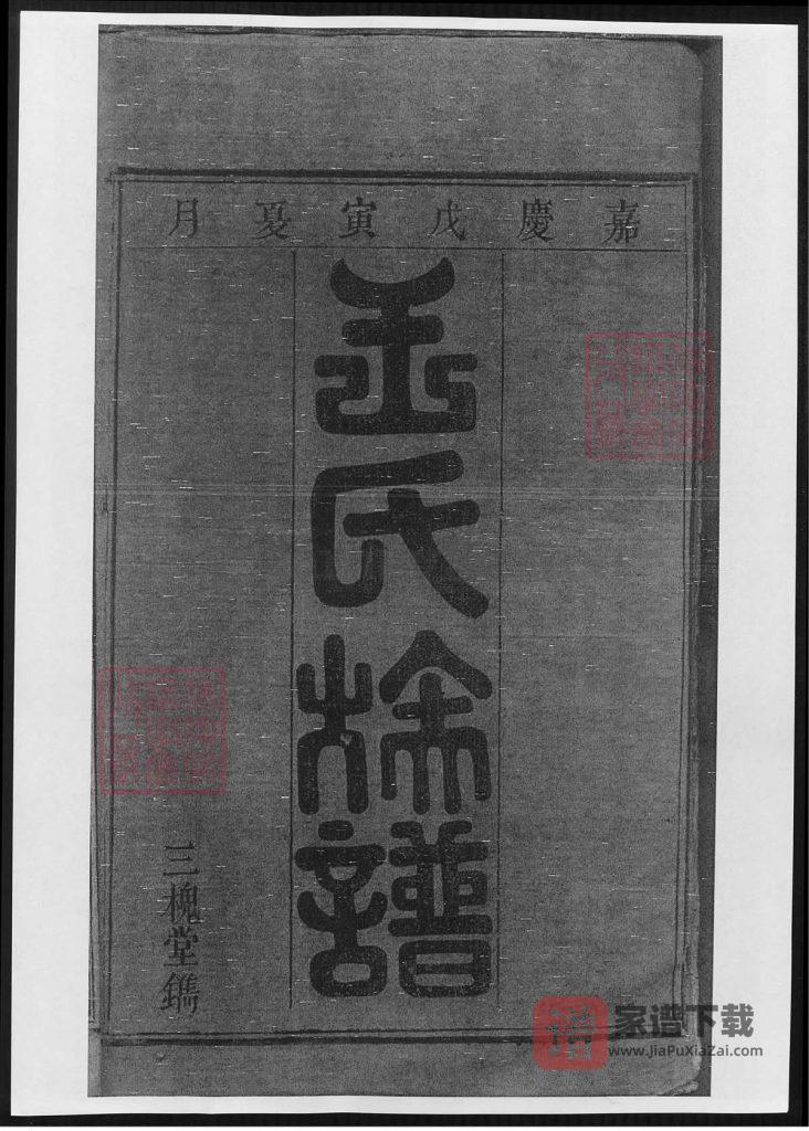 图片[2]-湖南浏阳太原王氏族谱（三槐堂）PDF高清电子版下载-家谱下载