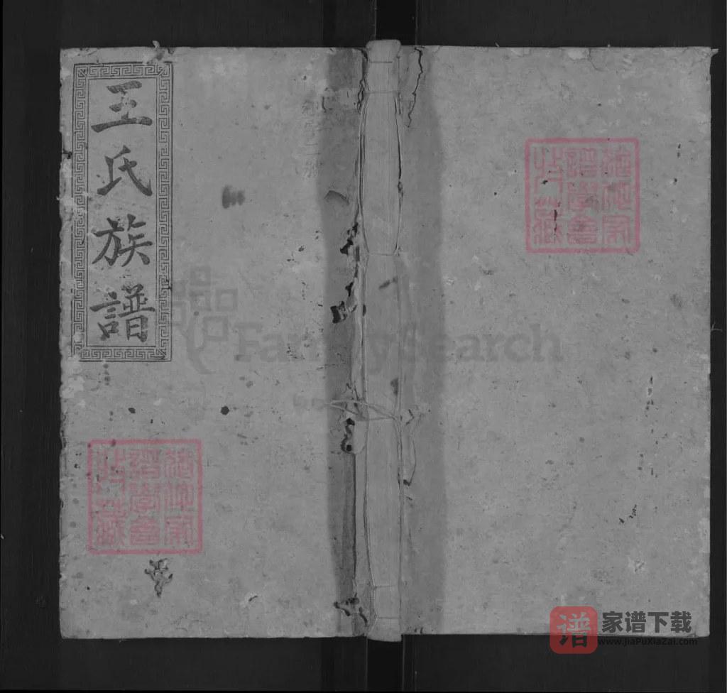 图片[1]-湖南邵阳槎江王氏三修族谱（三槐堂）PDF高清电子版下载-家谱下载