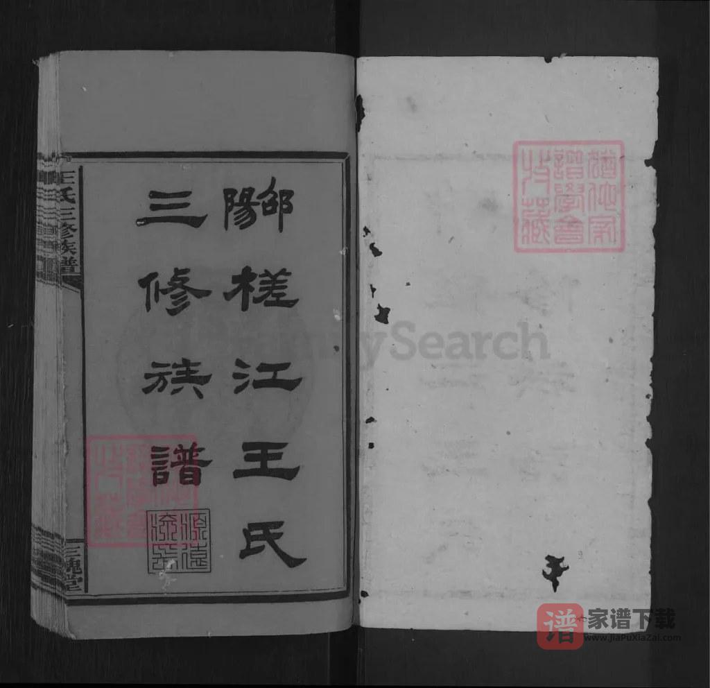 图片[2]-湖南邵阳槎江王氏三修族谱（三槐堂）PDF高清电子版下载-家谱下载