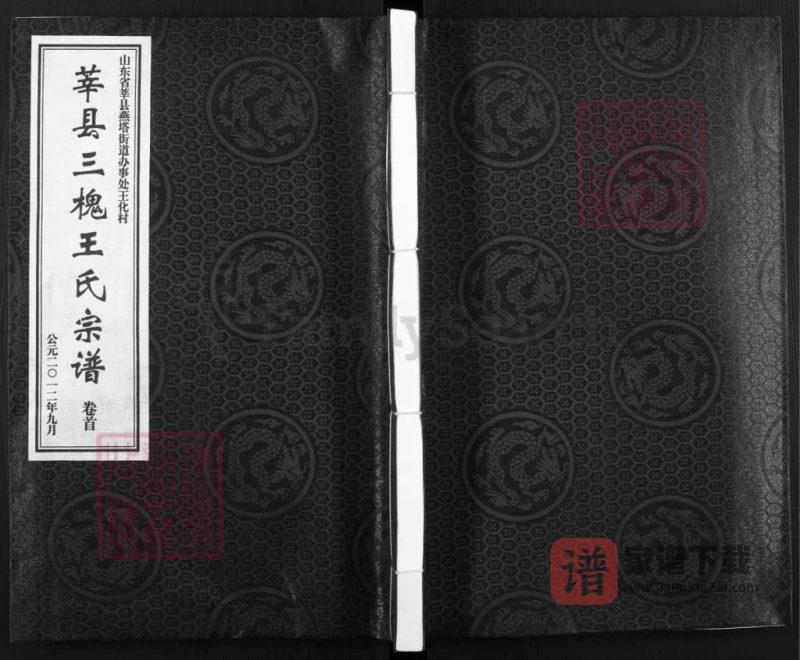 山东聊城莘县三槐王氏宗谱（三槐堂）PDF高清电子版下载-家谱下载