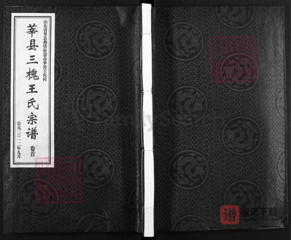 图片[1]-山东聊城莘县三槐王氏宗谱（三槐堂）PDF高清电子版下载-家谱下载
