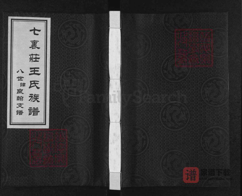 图片[1]-山东寿光七里庄王氏族谱八世讳良翰支谱PDF高清电子版下载-家谱下载