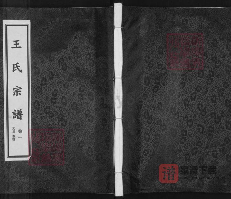浙江金华武义麻济王氏宗谱PDF高清电子版下载-家谱下载