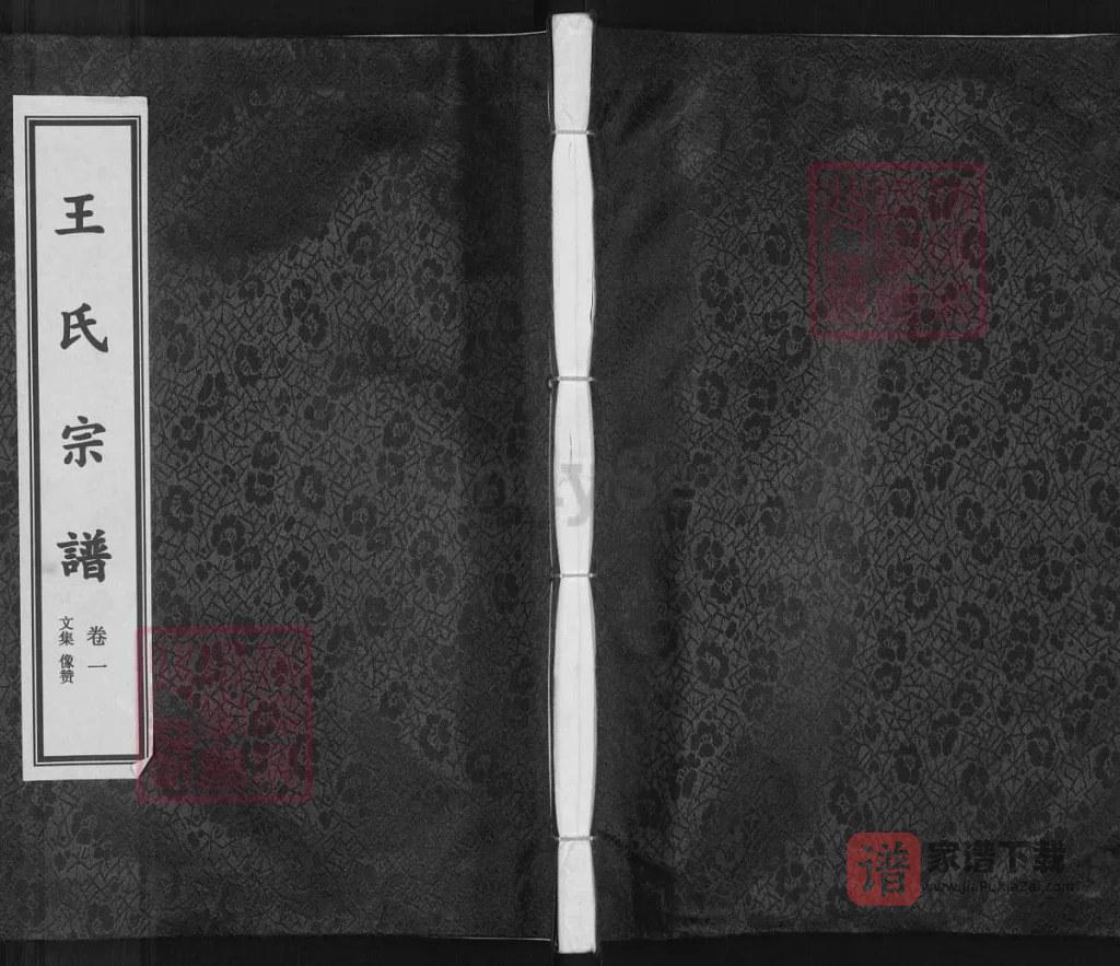 图片[1]-浙江金华武义麻济王氏宗谱PDF高清电子版下载-家谱下载