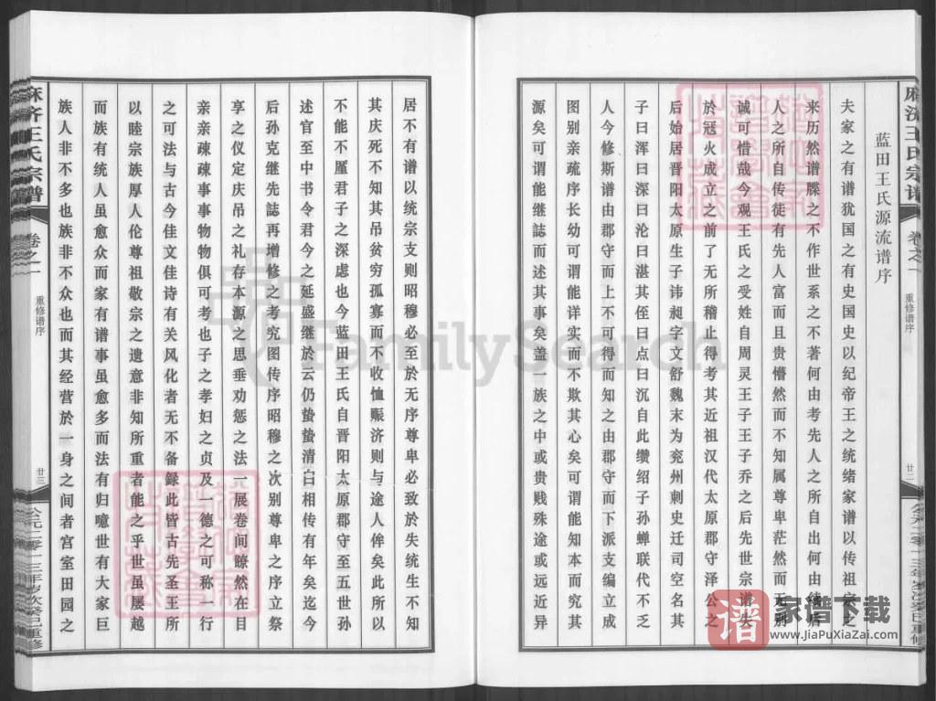 图片[2]-浙江金华武义麻济王氏宗谱PDF高清电子版下载-家谱下载