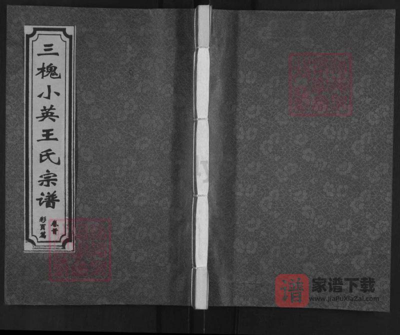 江西鹰潭月湖区三槐小英王氏宗谱(三槐堂)PDF高清电子版下载-家谱下载