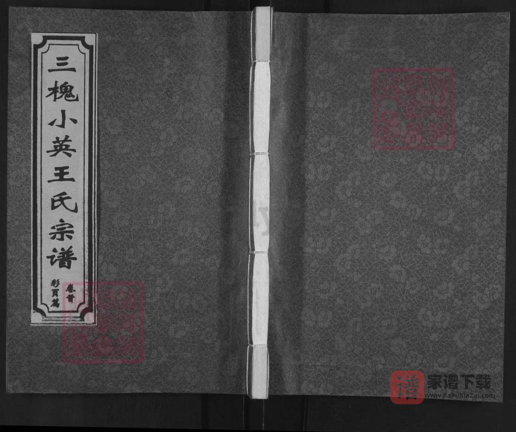 图片[1]-江西鹰潭月湖区三槐小英王氏宗谱（三槐堂）PDF高清电子版下载-家谱下载