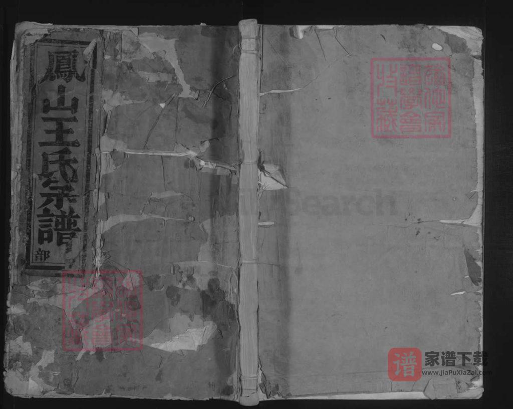 图片[1]-浙江金华凤山王氏宗谱PDF高清电子版下载-家谱下载
