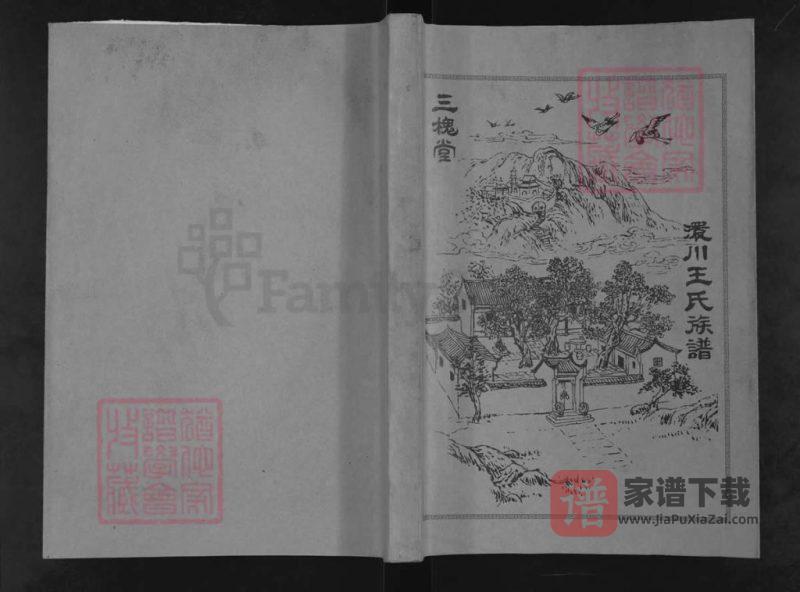 湖北孝感澴川王氏族谱（三槐堂）PDF高清电子版下载-家谱下载