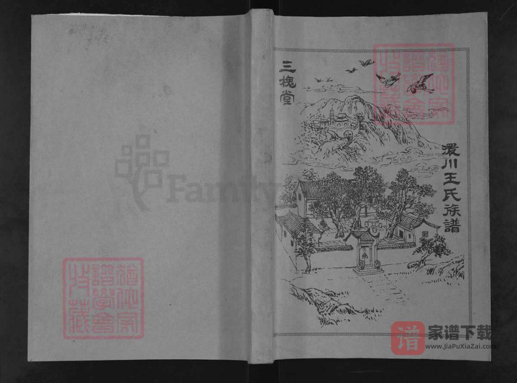 图片[1]-湖北孝感澴川王氏族谱（三槐堂）PDF高清电子版下载-家谱下载