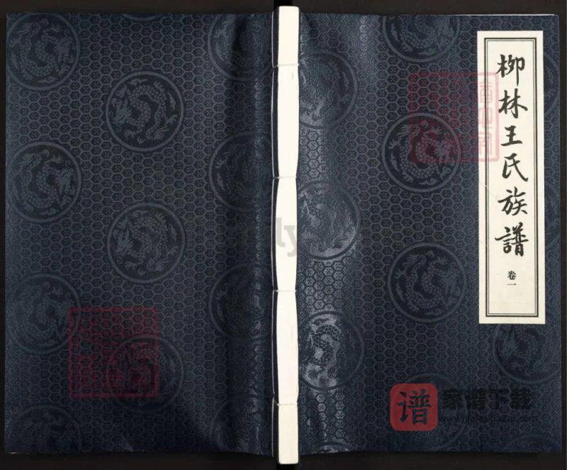 山东诸城柳林王氏族谱（益友堂）PDF高清电子版下载-家谱下载