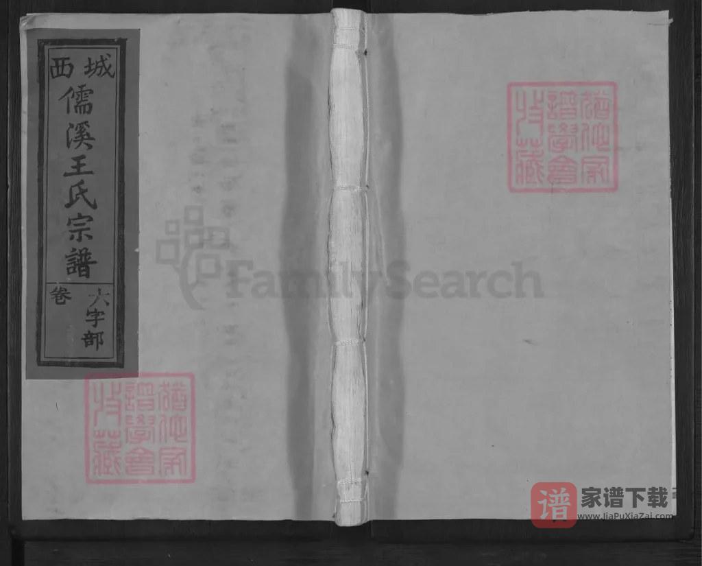 图片[1]-江西上饶城西儒溪王氏宗谱PDF高清电子版下载-家谱下载