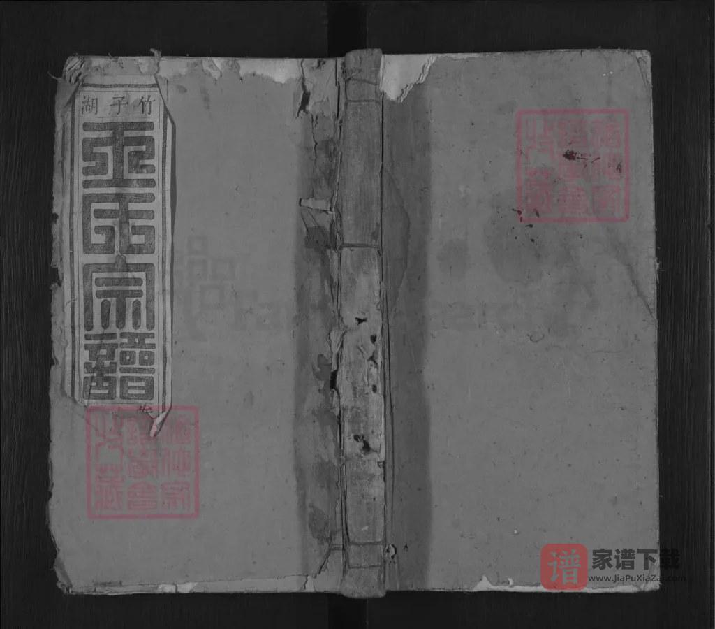 图片[1]-安徽桐城竹子湖王氏宗谱PDF高清电子版下载-家谱下载