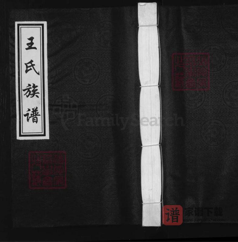 河北沧州沧县王氏族谱PDF高清电子版下载-家谱下载