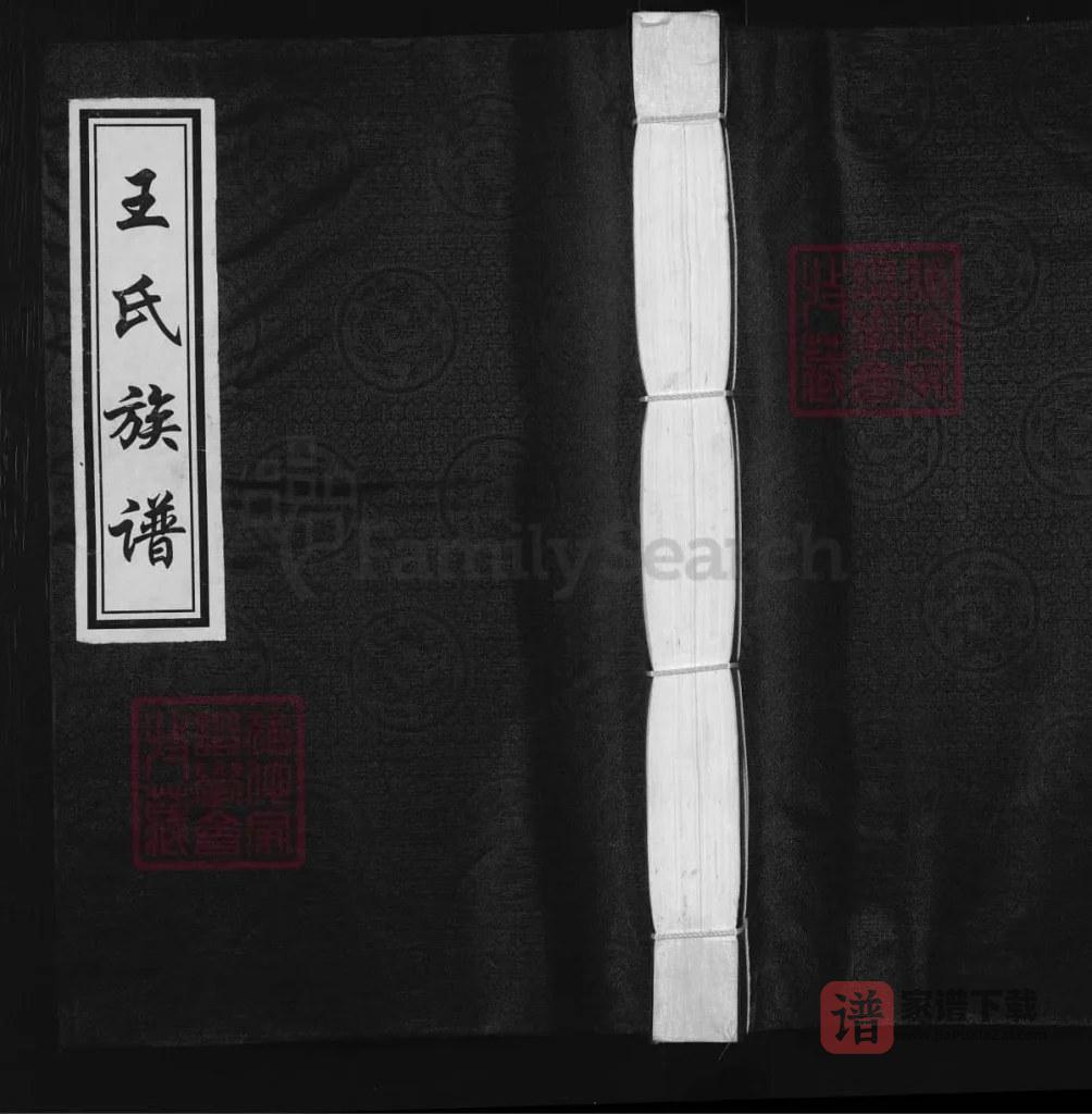 图片[1]-河北沧州沧县王氏族谱PDF高清电子版下载-家谱下载