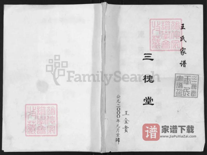 江苏高邮王氏本支家谱(三槐堂)PDF高清电子版下载-家谱下载