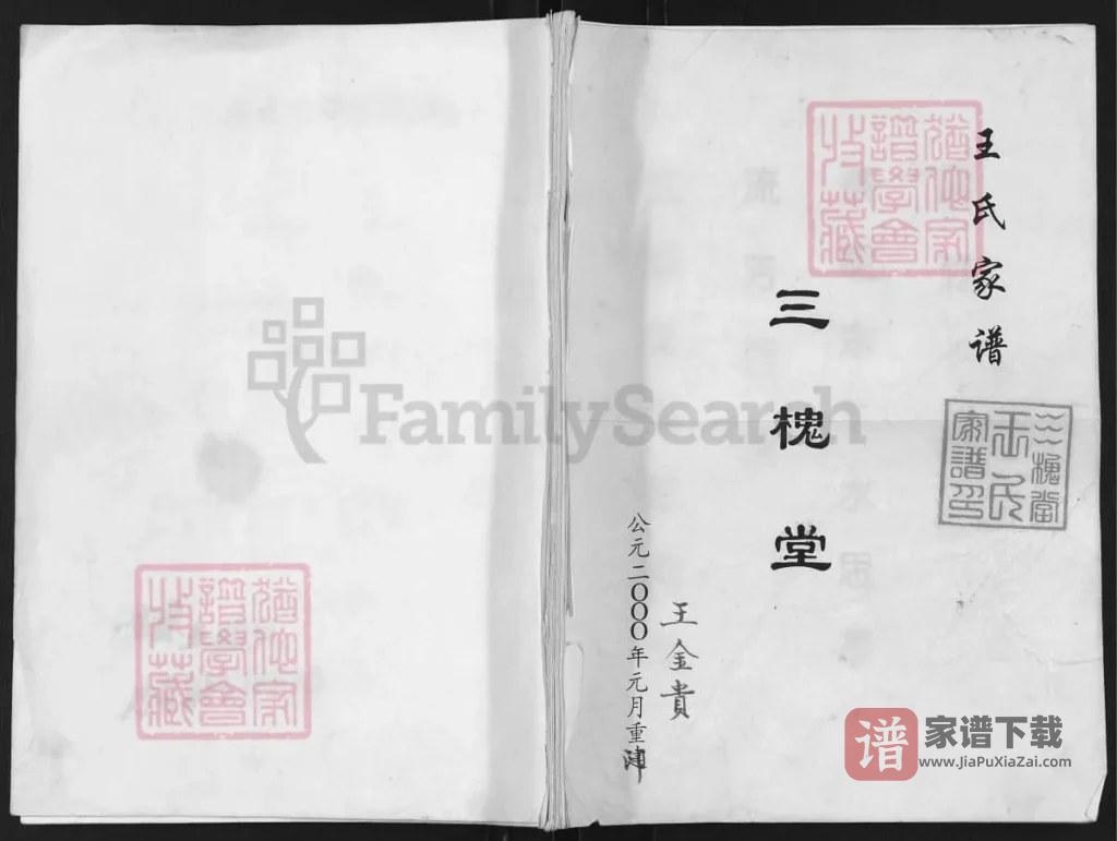 图片[1]-江苏高邮王氏本支家谱（三槐堂）PDF高清电子版下载-家谱下载