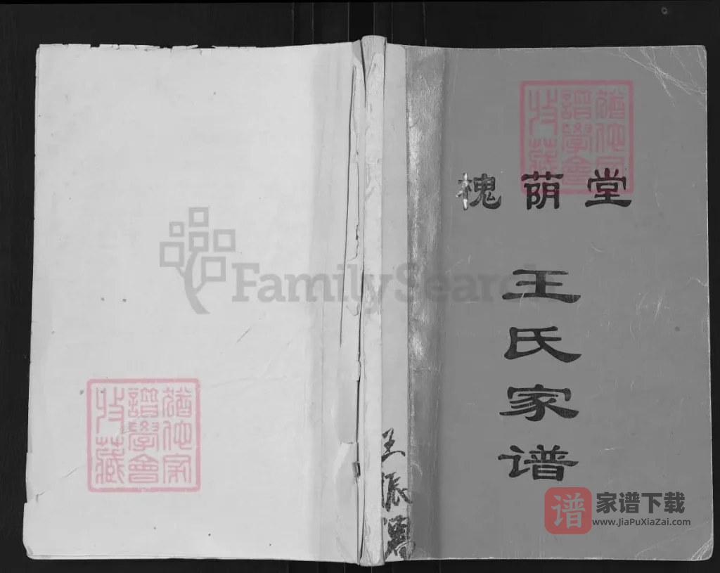 图片[1]-江苏高邮王氏家谱（槐荫堂）PDF高清电子版下载-家谱下载
