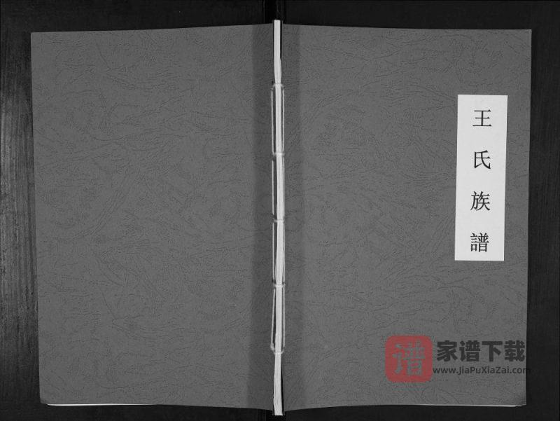 山东泰安东平县王氏族谱PDF高清电子版下载-家谱下载