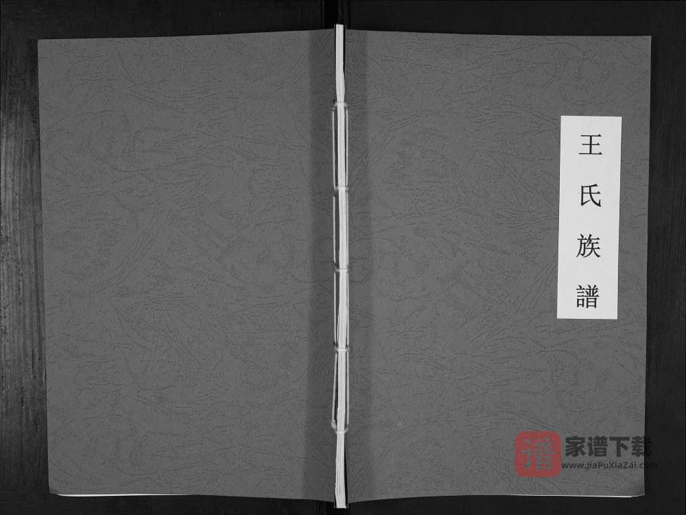 图片[1]-山东泰安东平县王氏族谱PDF高清电子版下载-家谱下载