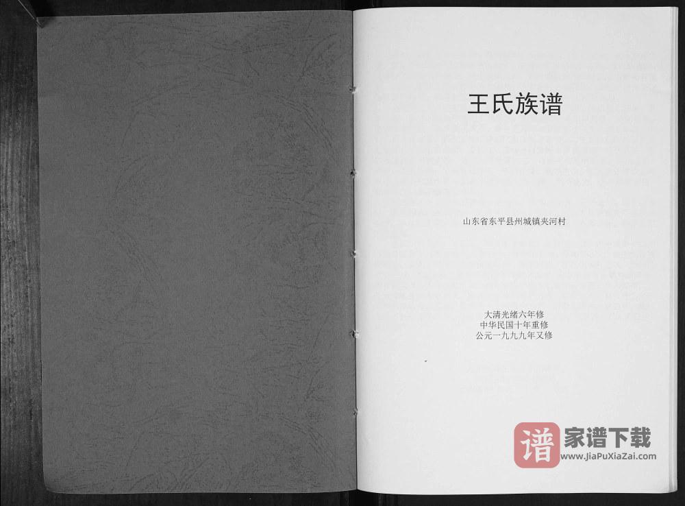 图片[2]-山东泰安东平县王氏族谱PDF高清电子版下载-家谱下载