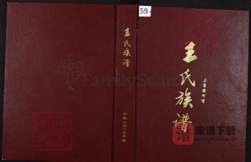 重庆綦江三角滥田嘴王氏族谱PDF高清电子版下载-家谱下载