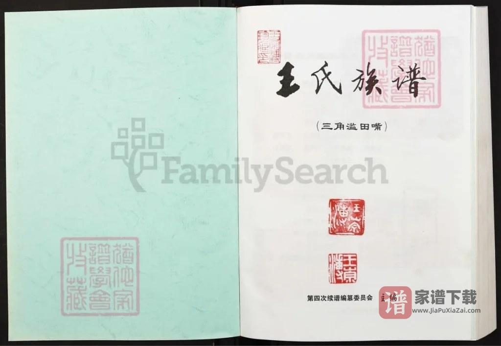 图片[2]-重庆綦江三角滥田嘴王氏族谱PDF高清电子版下载-家谱下载