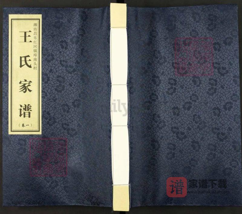 山东潍坊昌乐红河镇埠南头村王氏家谱PDF高清电子版下载-家谱下载