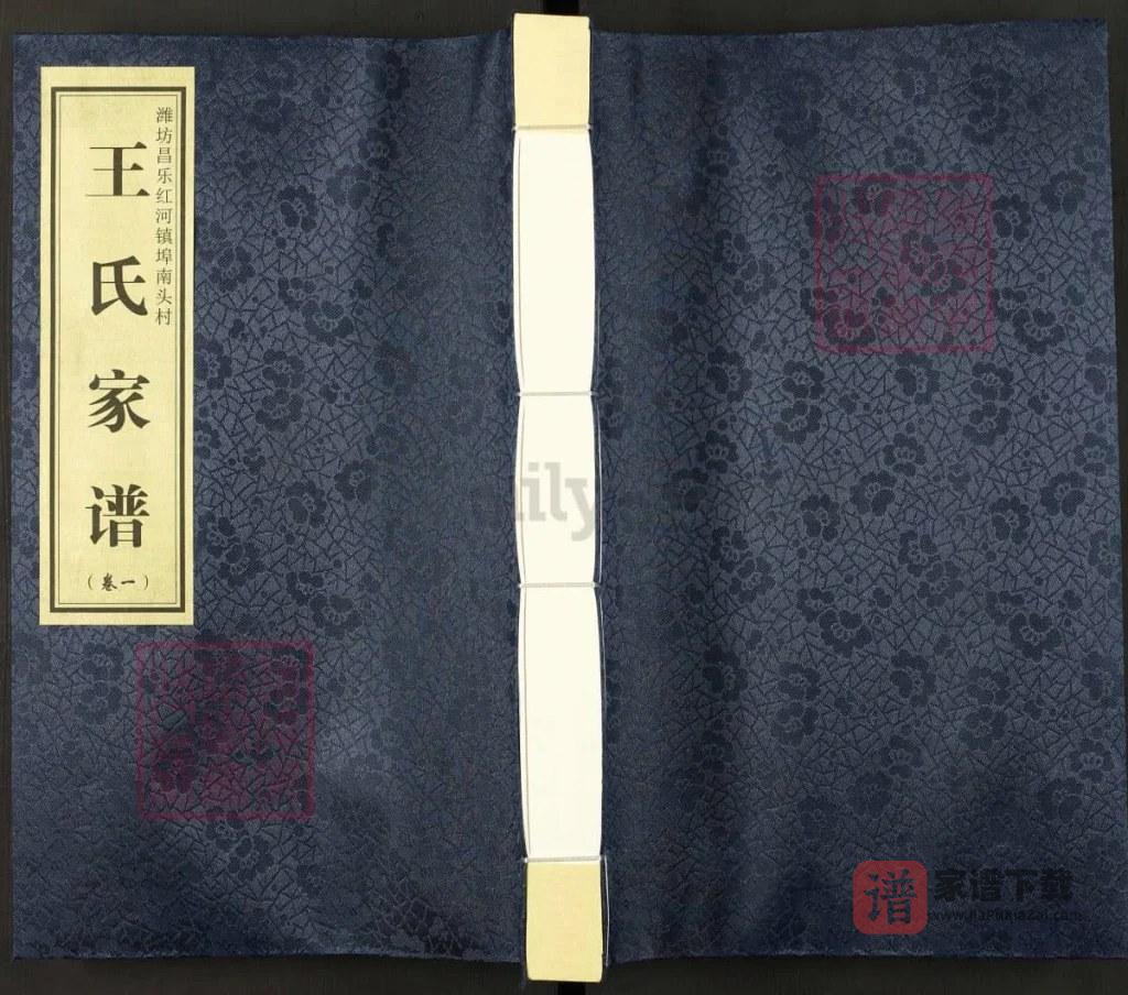 图片[1]-山东潍坊昌乐红河镇埠南头村王氏家谱PDF高清电子版下载-家谱下载