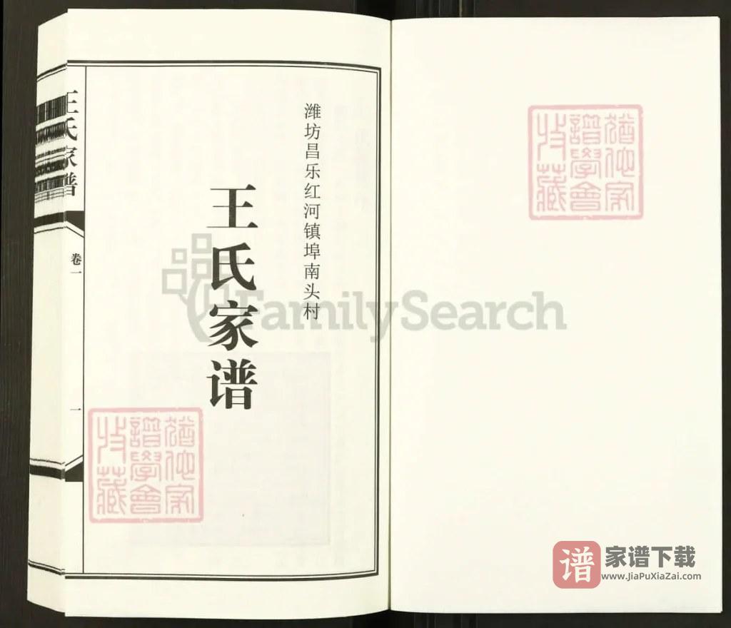 图片[2]-山东潍坊昌乐红河镇埠南头村王氏家谱PDF高清电子版下载-家谱下载