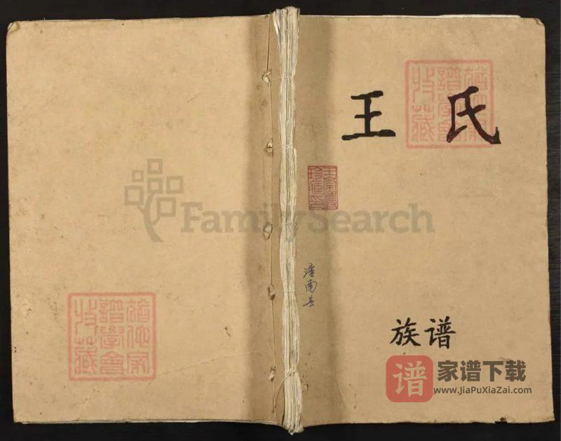 重庆潼南王氏族谱PDF高清电子版下载-家谱下载