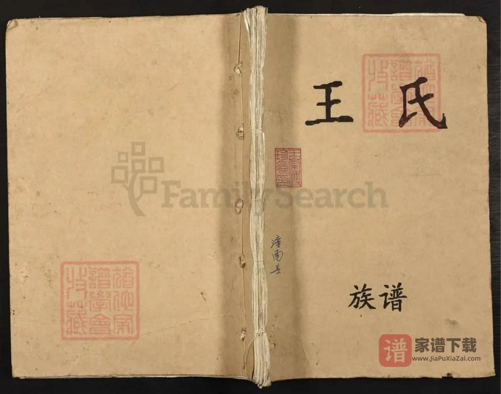 图片[1]-重庆潼南王氏族谱PDF高清电子版下载-家谱下载