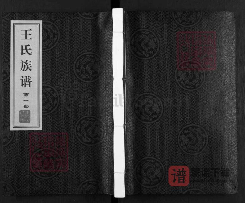 山东德州武城县王氏族谱PDF高清电子版下载-家谱下载