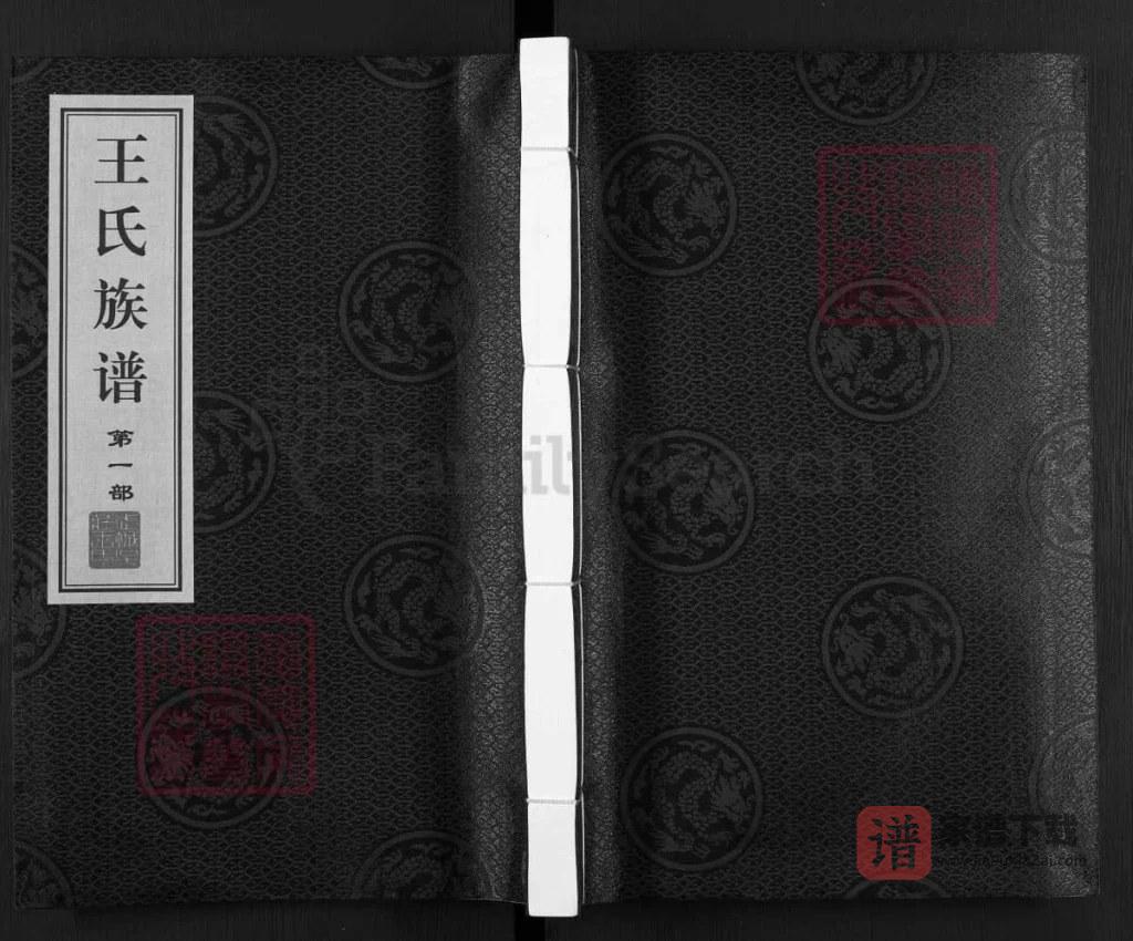 图片[1]-山东德州武城县王氏族谱PDF高清电子版下载-家谱下载