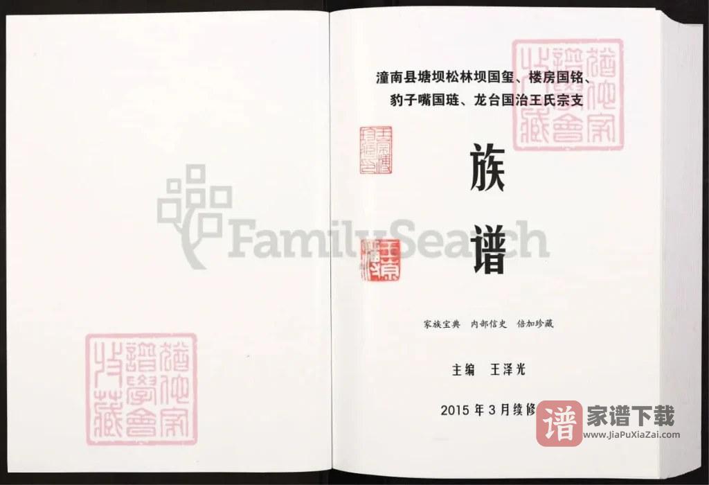 图片[2]-四川遂宁安居区庐陵太原王氏赣湘世系重庆潼南王氏族谱PDF高清电子版下载-家谱下载