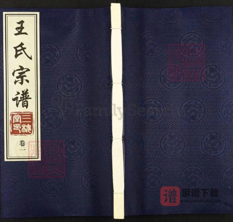 江苏常州羌塸王氏宗谱(三槐堂)PDF高清电子版下载-家谱下载