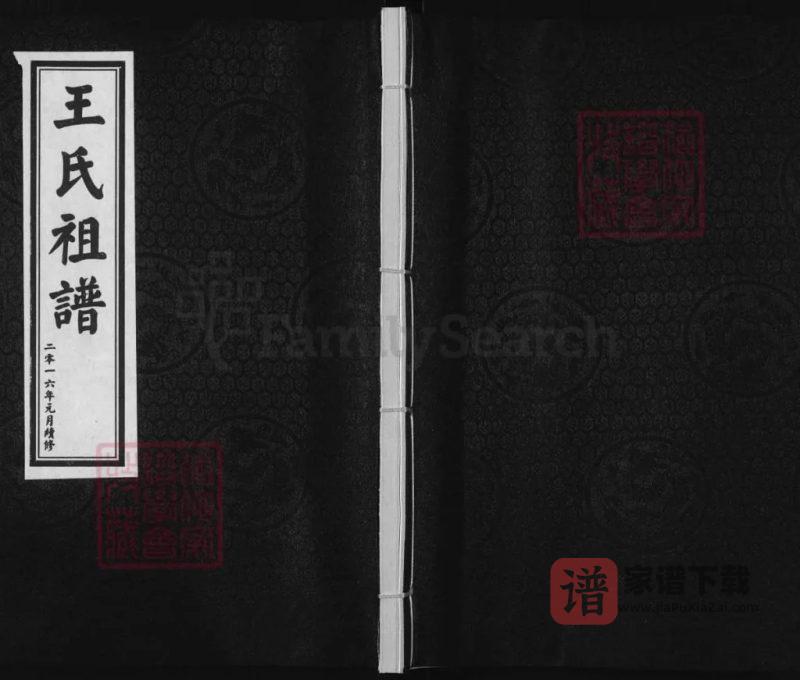 河北沧州青县王氏祖谱PDF高清电子版下载-家谱下载