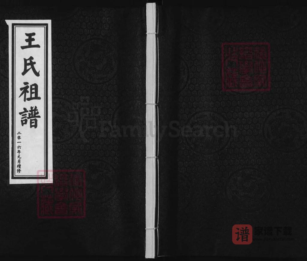图片[1]-河北沧州青县王氏祖谱PDF高清电子版下载-家谱下载