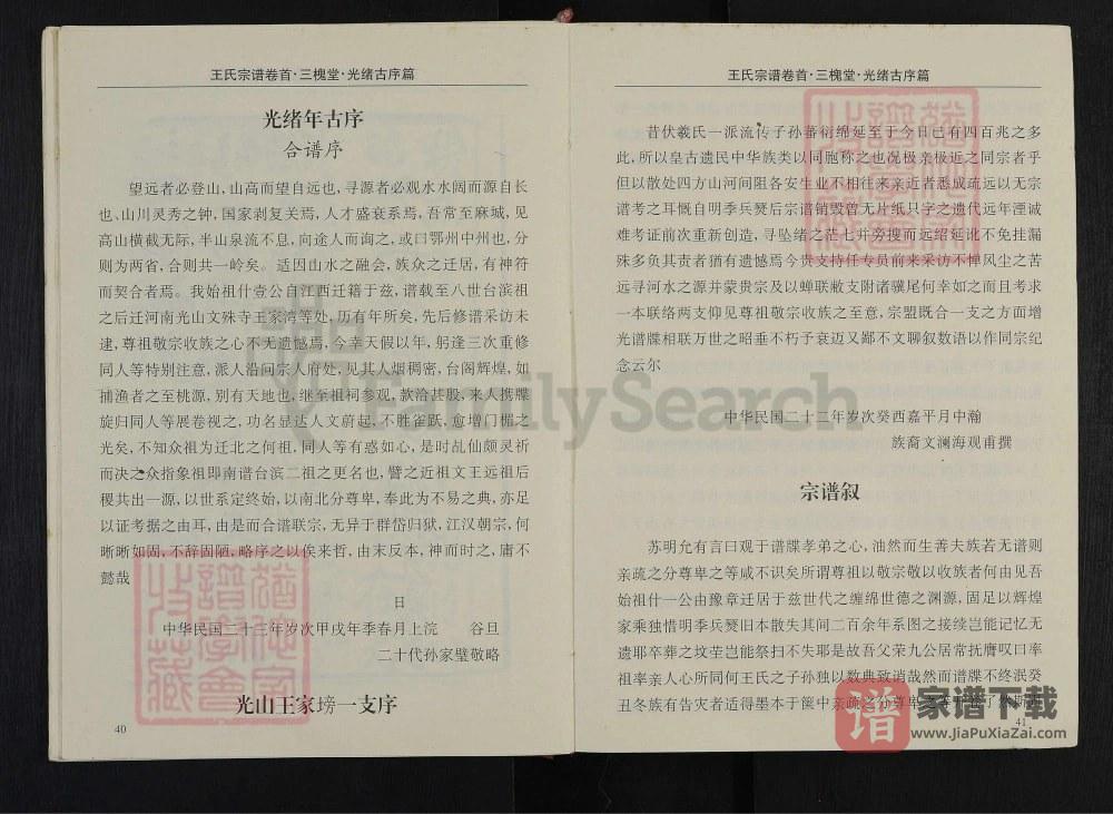 图片[2]-湖北武汉黄陂区王氏宗谱（三槐堂）PDF高清电子版下载-家谱下载