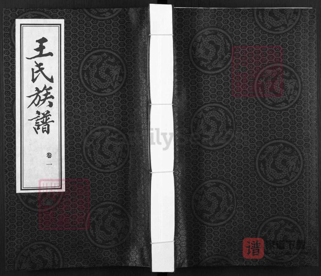 图片[1]-河北邢台宁晋县王氏族谱PDF高清电子版下载-家谱下载