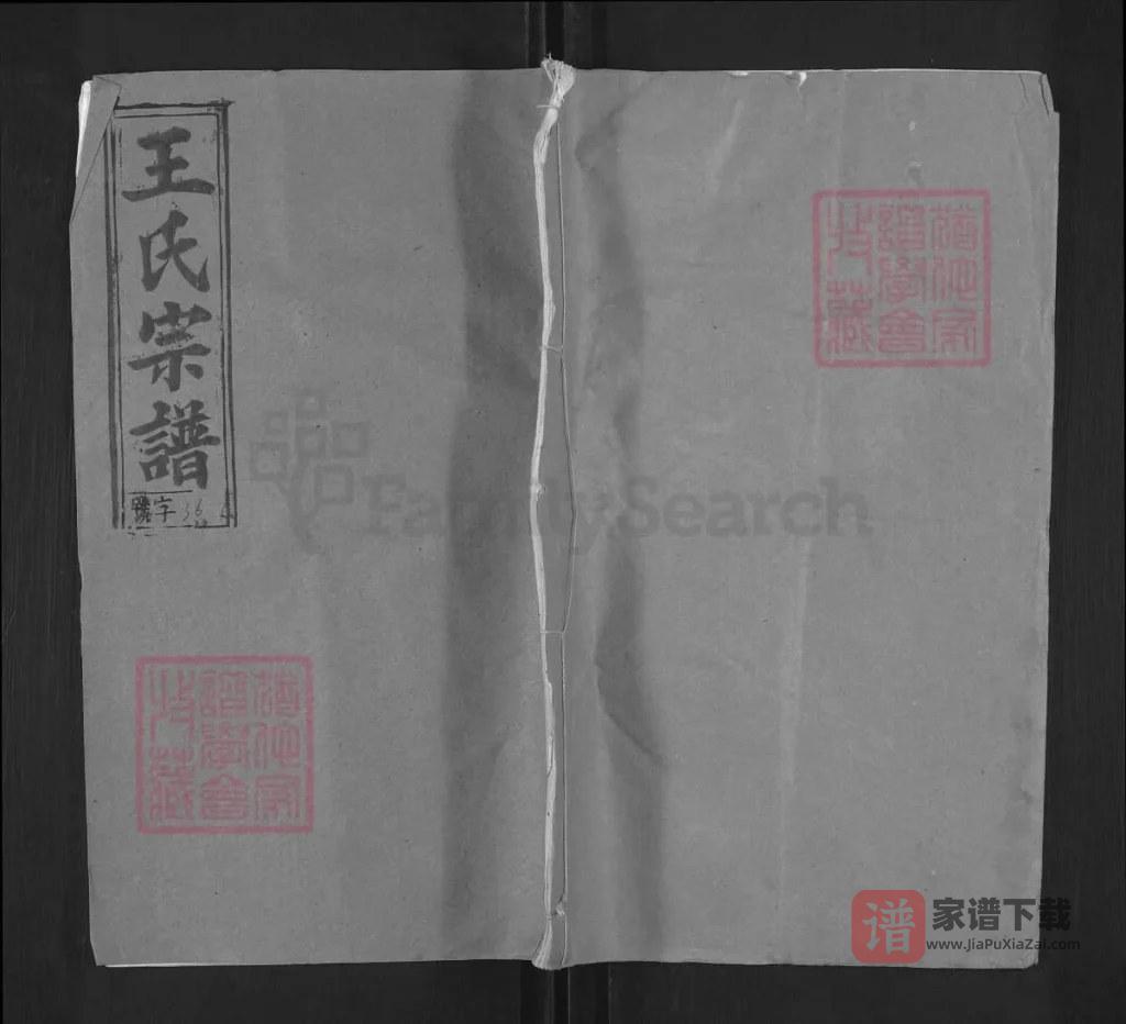 图片[1]-湖北武穴王氏宗谱（三槐堂）PDF高清电子版下载-家谱下载