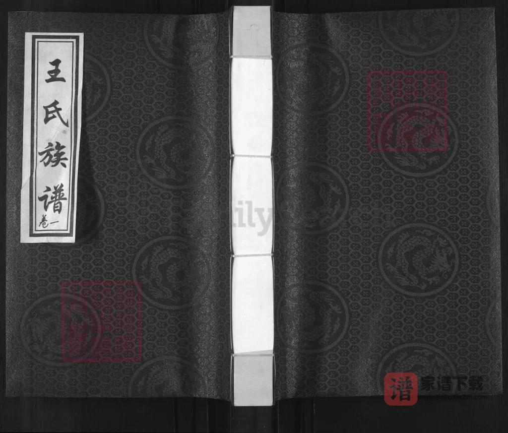 图片[1]-河北沧州孟村王氏族谱（四贤堂）PDF高清电子版下载-家谱下载