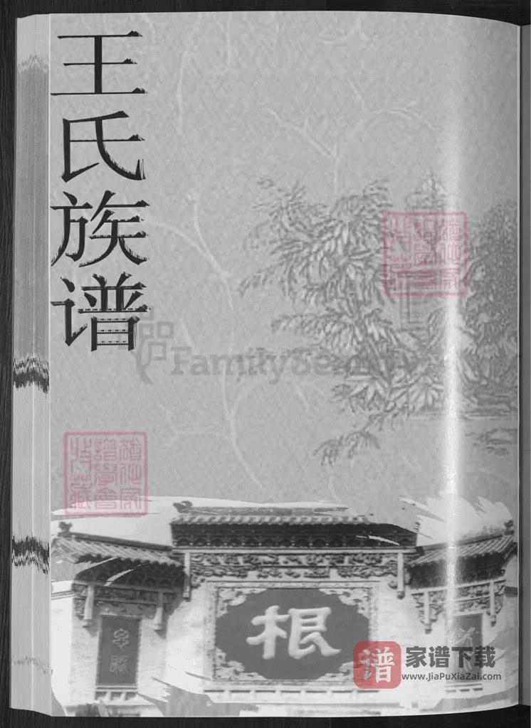 图片[2]-山东淄博王氏族谱第四次续谱PDF高清电子版下载-家谱下载