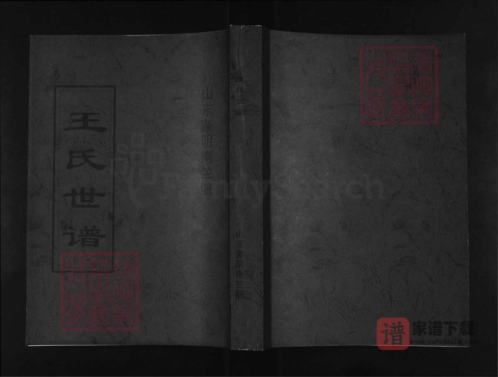 图片[1]-山东临沂蒙阴南竺院王氏世谱PDF高清电子版下载-家谱下载