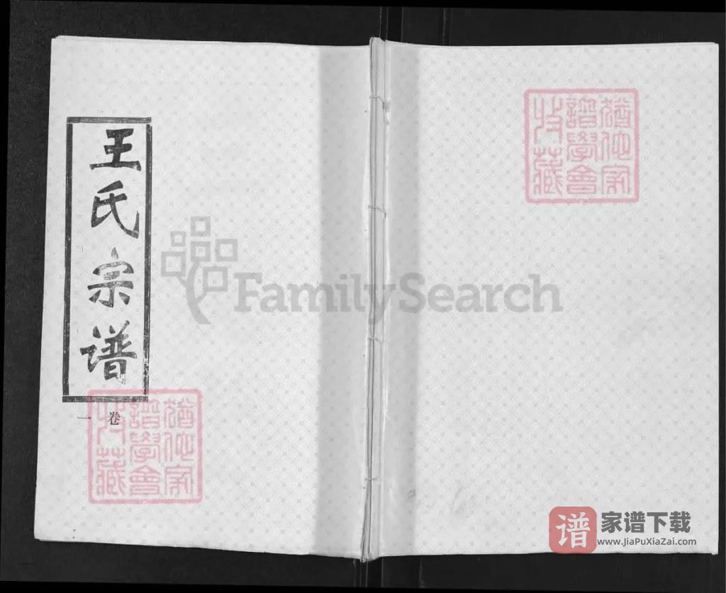图片[1]-湖北汉川孛虎山王氏宗谱（三槐堂）PDF高清电子版下载-家谱下载