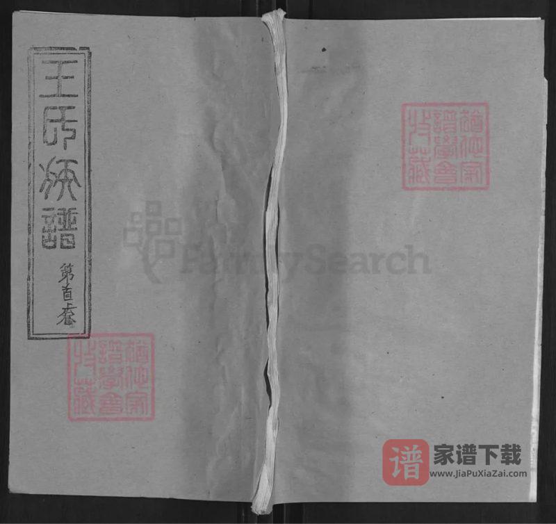 湖北麻城王氏族谱（崇仁堂）PDF高清电子版下载-家谱下载