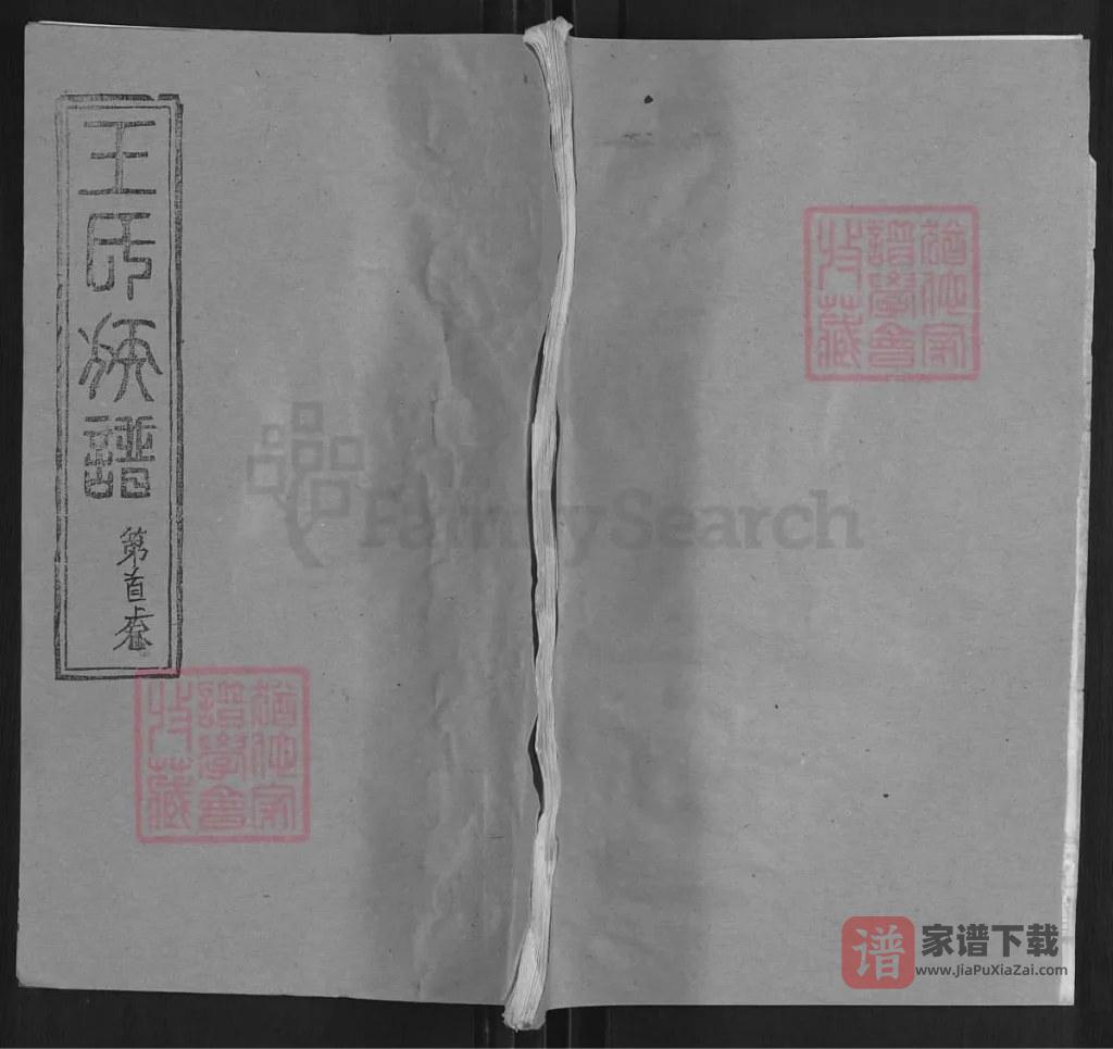 图片[1]-湖北麻城王氏族谱（崇仁堂）PDF高清电子版下载-家谱下载