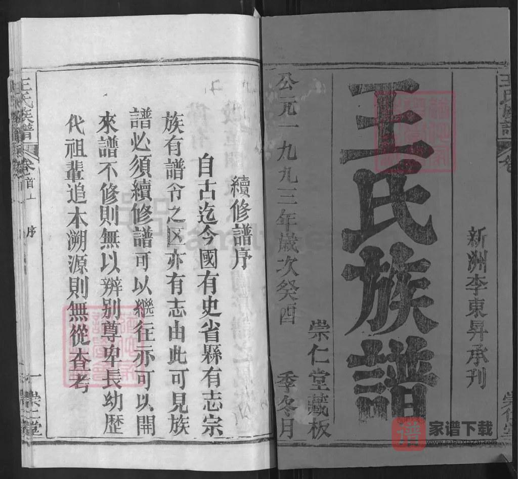 图片[2]-湖北麻城王氏族谱（崇仁堂）PDF高清电子版下载-家谱下载