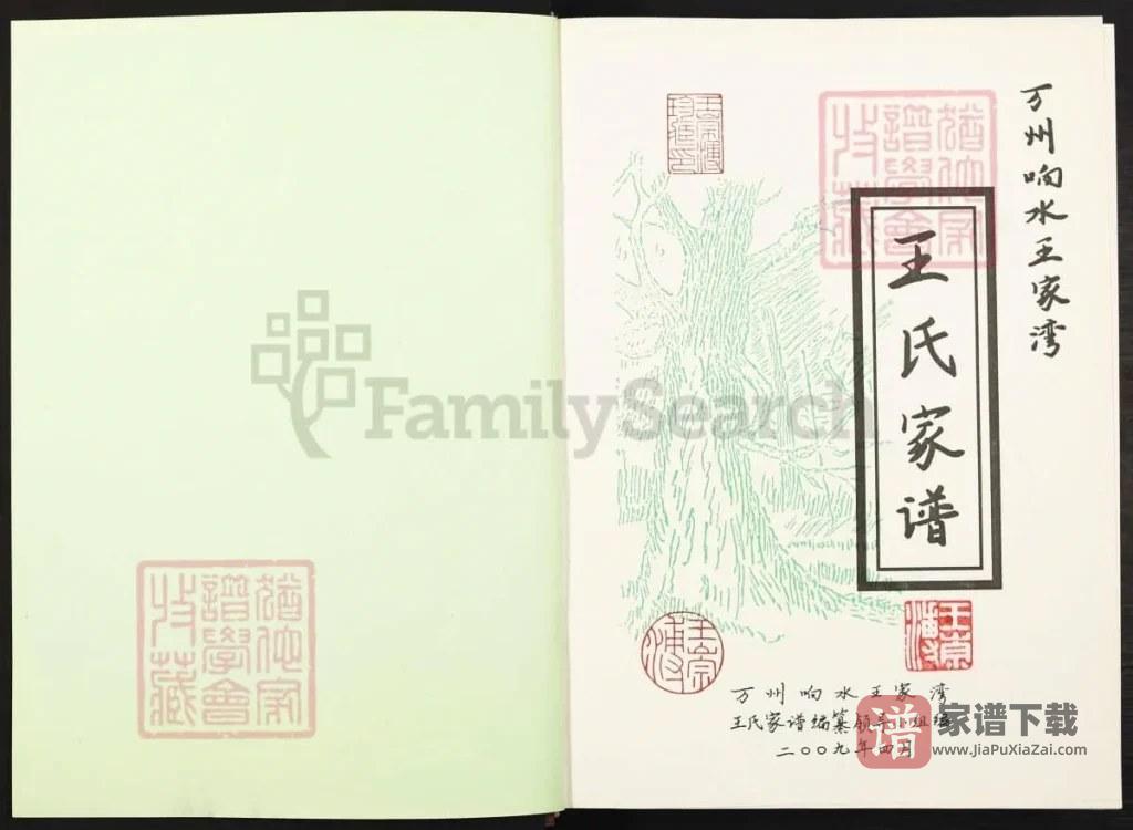 图片[2]-重庆万州响水王家湾王氏家谱PDF高清电子版下载-家谱下载